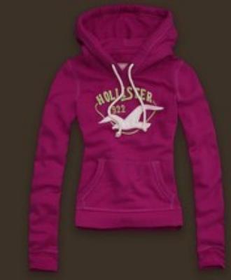 Hollister Women Hoodies-32